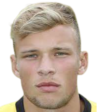 西尼·范胡伊登